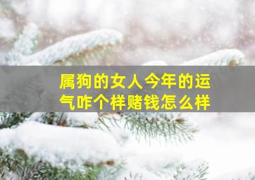 属狗的女人今年的运气咋个样赌钱怎么样