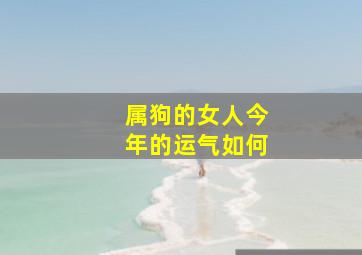 属狗的女人今年的运气如何