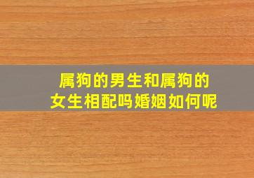 属狗的男生和属狗的女生相配吗婚姻如何呢