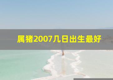 属猪2007几日出生最好