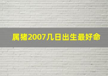 属猪2007几日出生最好命