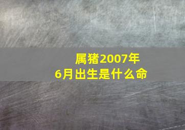 属猪2007年6月出生是什么命