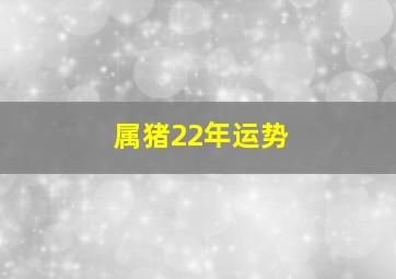 属猪22年运势