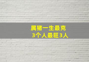 属猪一生最克3个人最旺3人