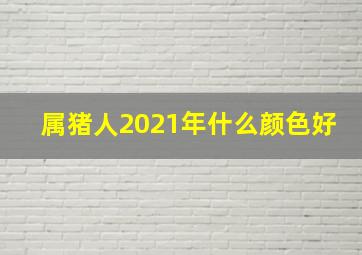 属猪人2021年什么颜色好