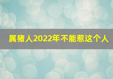 属猪人2022年不能惹这个人