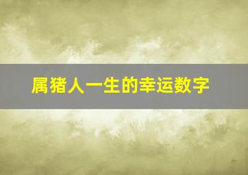 属猪人一生的幸运数字