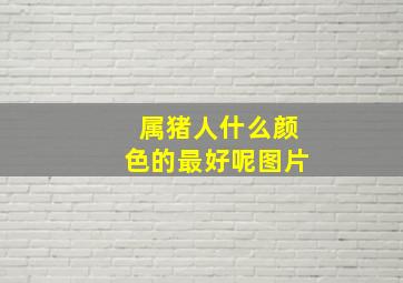 属猪人什么颜色的最好呢图片