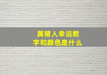 属猪人幸运数字和颜色是什么