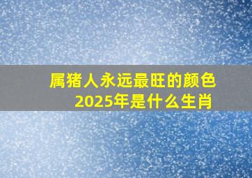 属猪人永远最旺的颜色2025年是什么生肖