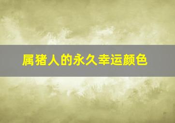 属猪人的永久幸运颜色