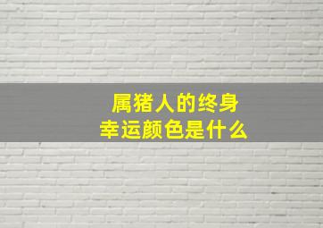 属猪人的终身幸运颜色是什么