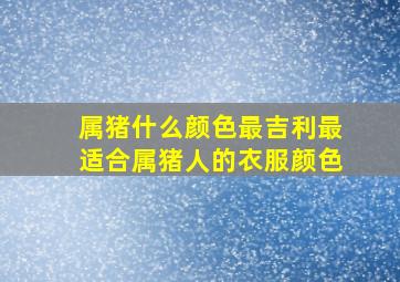 属猪什么颜色最吉利最适合属猪人的衣服颜色