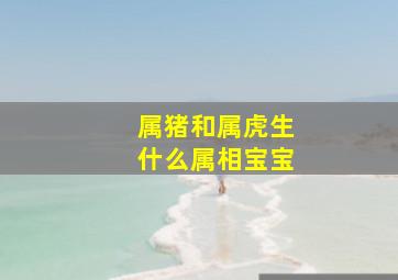 属猪和属虎生什么属相宝宝