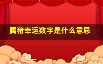 属猪幸运数字是什么意思