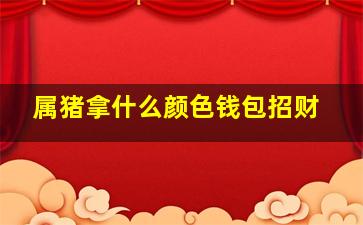 属猪拿什么颜色钱包招财