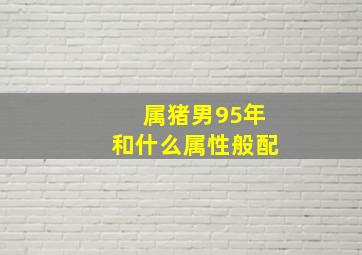 属猪男95年和什么属性般配