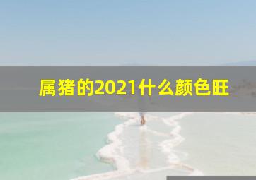 属猪的2021什么颜色旺