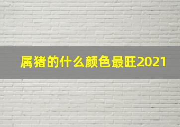 属猪的什么颜色最旺2021