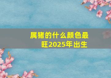 属猪的什么颜色最旺2025年出生