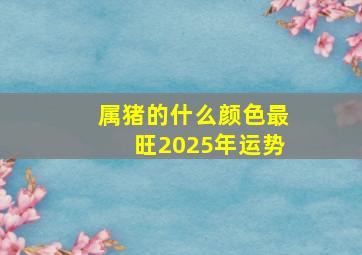 属猪的什么颜色最旺2025年运势