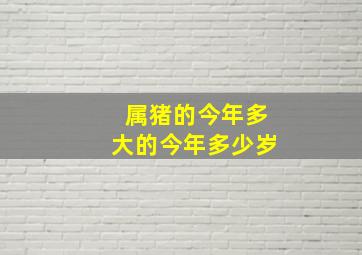 属猪的今年多大的今年多少岁