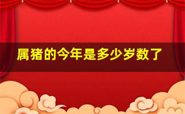 属猪的今年是多少岁数了