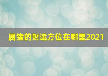 属猪的财运方位在哪里2021