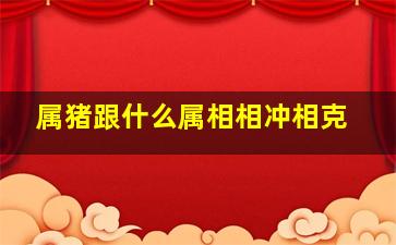 属猪跟什么属相相冲相克