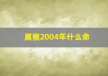 属猴2004年什么命