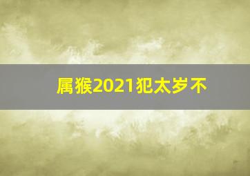 属猴2021犯太岁不