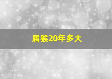 属猴20年多大