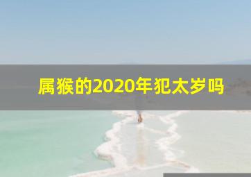 属猴的2020年犯太岁吗