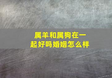 属羊和属狗在一起好吗婚姻怎么样