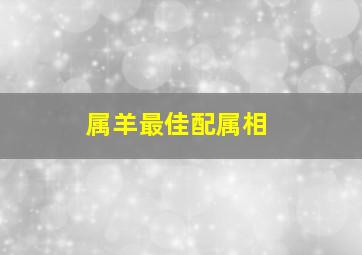 属羊最佳配属相