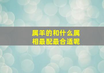 属羊的和什么属相最配最合适呢