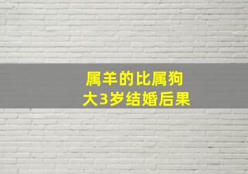 属羊的比属狗大3岁结婚后果