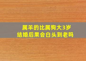 属羊的比属狗大3岁结婚后果会白头到老吗