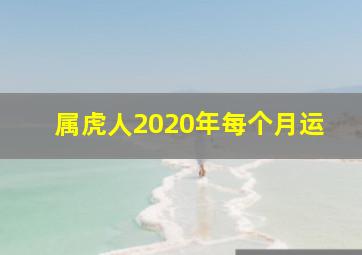 属虎人2020年每个月运