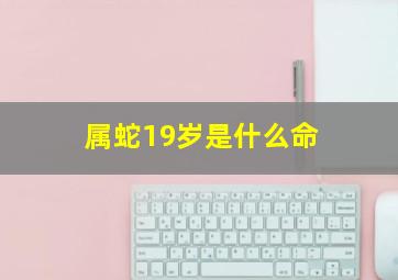 属蛇19岁是什么命