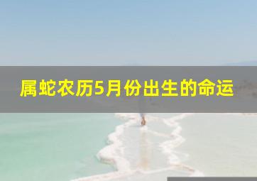 属蛇农历5月份出生的命运