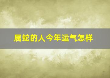 属蛇的人今年运气怎样