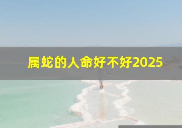 属蛇的人命好不好2025