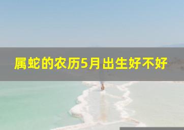 属蛇的农历5月出生好不好