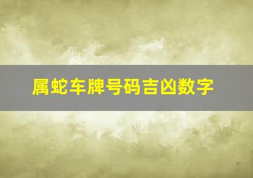 属蛇车牌号码吉凶数字