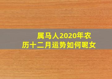 属马人2020年农历十二月运势如何呢女