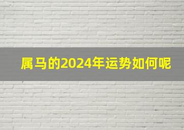 属马的2024年运势如何呢