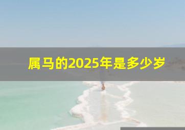 属马的2025年是多少岁