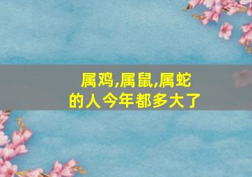 属鸡,属鼠,属蛇的人今年都多大了