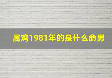 属鸡1981年的是什么命男